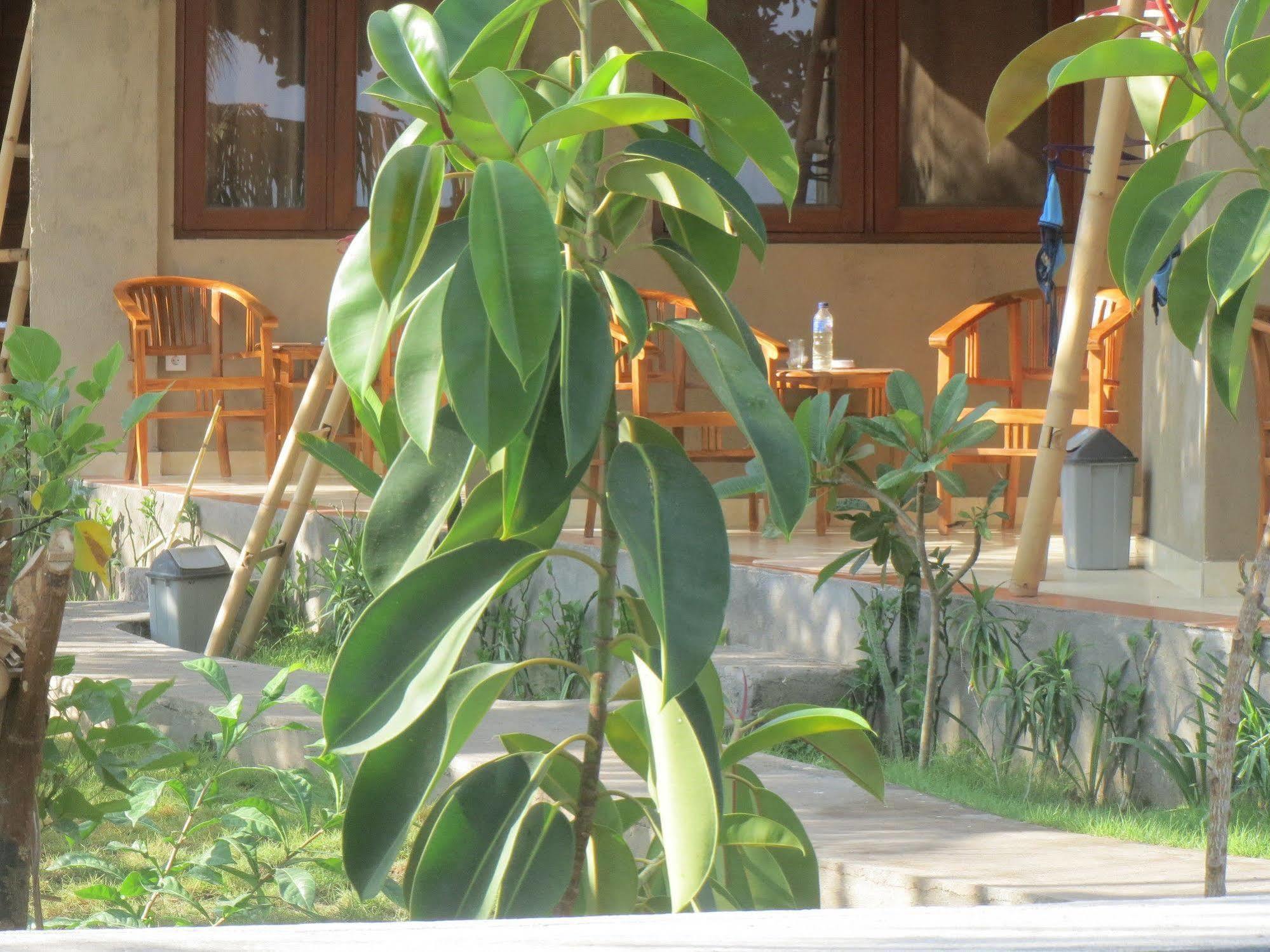 Amed Sari Beach Guesthouse Exterior foto