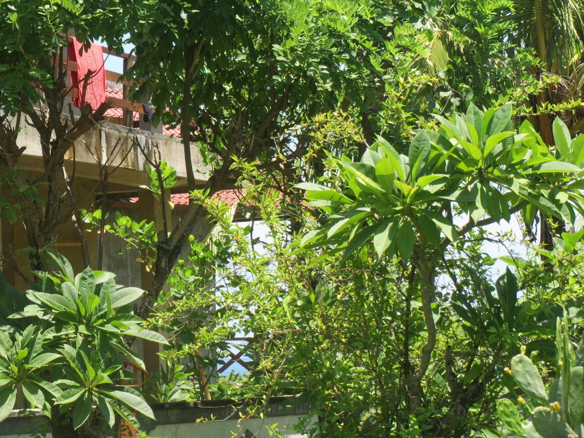 Amed Sari Beach Guesthouse Exterior foto